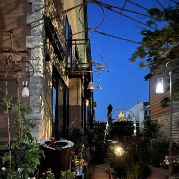 夜の庭の画像 by kororinさん | 北海道とiPhone撮影と夜の庭と北の大地北海道