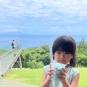 伊豆旅行の投稿画像一覧 Greensnap グリーンスナップ