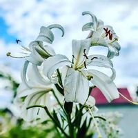 We6mqsjvl0xbzm We6mqsjvl0xbzm