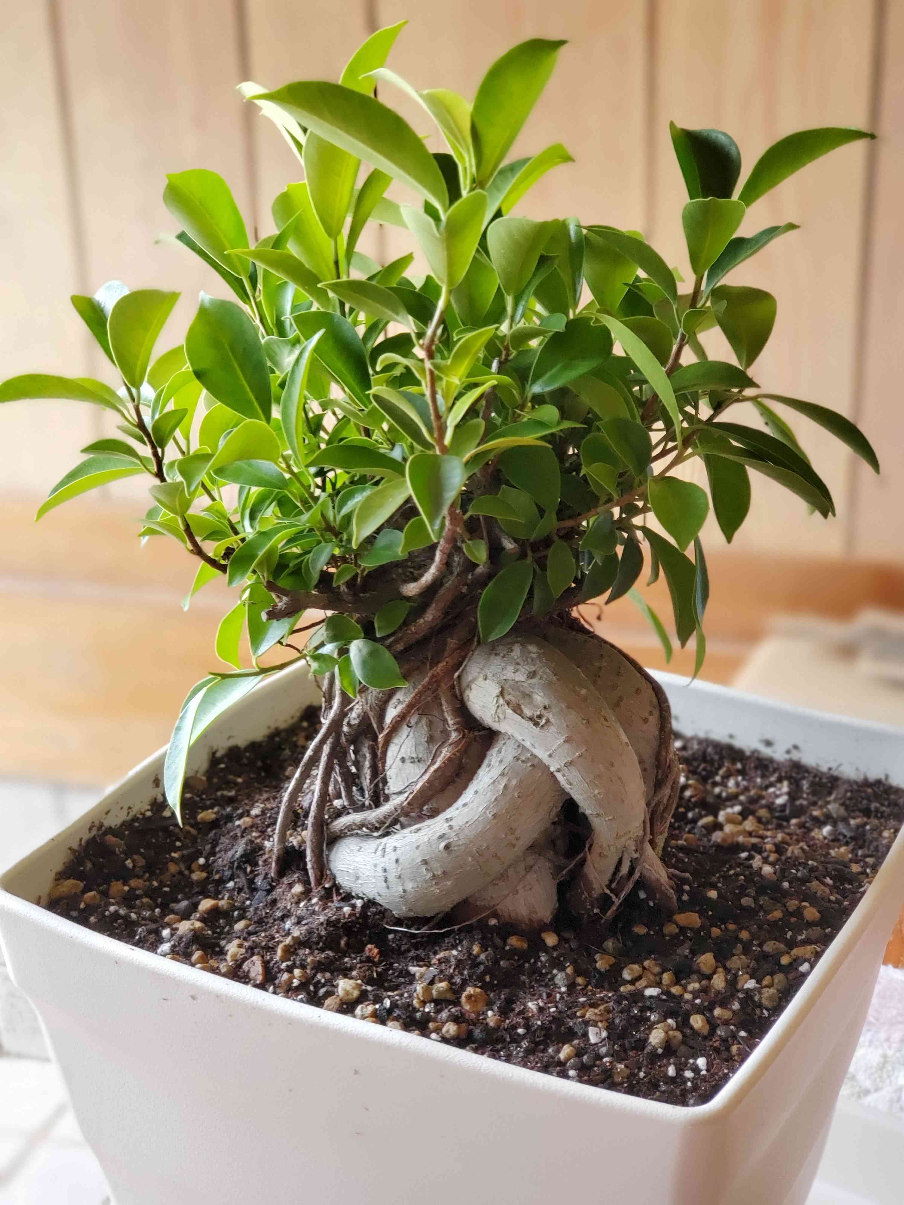 1660107890533_242271_20220810_