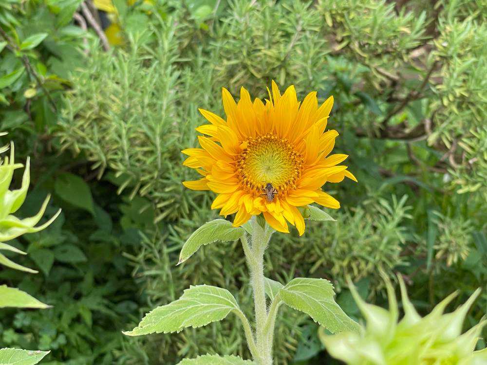 1660221138159_thum_381265_phot