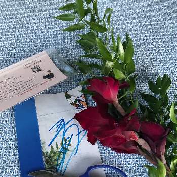 グラジオラスの花の画像 by sasukemama(Tomoko Henty）さん | グラジオラスの花とイタリアンラスカスとガーデニングはさみと三上真史さんのハサミと夏の花とアメリカ在住と生け花の道具