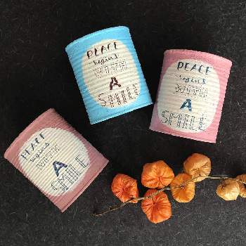 山梨 ヤワラギの投稿画像一覧 Greensnap グリーンスナップ