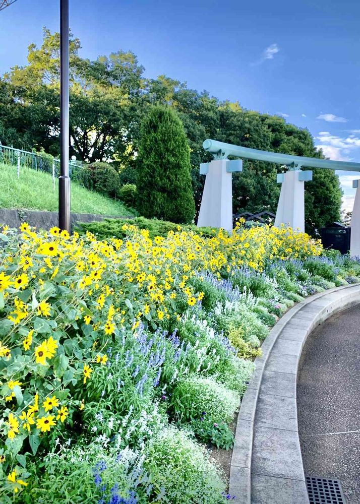 シゲルさんの港の見える丘公園への投稿