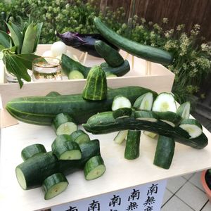 精霊馬,自家製野菜,お盆,キュウリ♪,今日の景色の画像