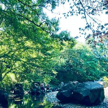 風景写真の画像 by hanaさん | お出かけ先と樹木と風景写真と自然大好きとお散歩写真と石の日と夏だね♪とグリーンと涼しげ