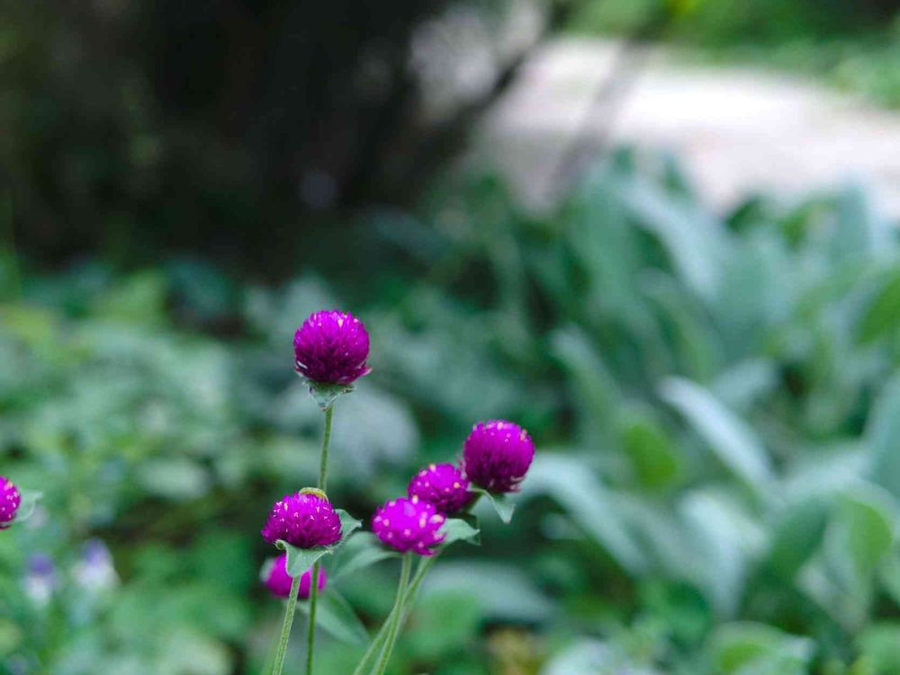 masaharuさんの港の見える丘公園への投稿