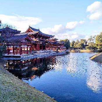 水鏡の画像 by 心ほっと。。。さん | お出かけ先と池のある風景と木のある風景と心ほっと。。。の空色と平等院と京都とオレンジと水鏡とくも☁