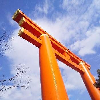 心ほっと。。。の空色の画像 by 心ほっと。。。さん | お出かけ先と木のある風景と心ほっと。。。の空色と鳥居と平安神宮と京都とオレンジ