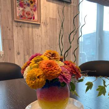 花を生けるの投稿画像一覧 Greensnap グリーンスナップ