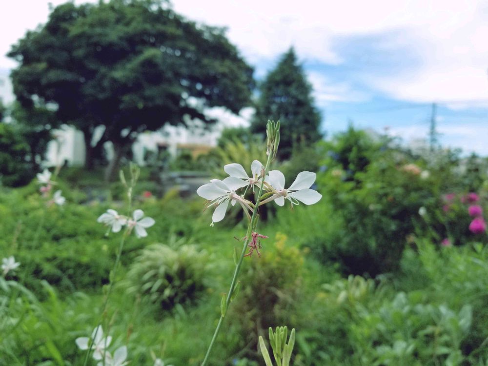 エリィさんの港の見える丘公園への投稿