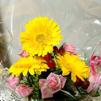 好みの色の画像 by ぴょんさん | お店からのプレゼントとだいすきと可愛い❤と綺麗なお花❤とピンク色の花と好みの色と花のある暮らしと黄色いお花