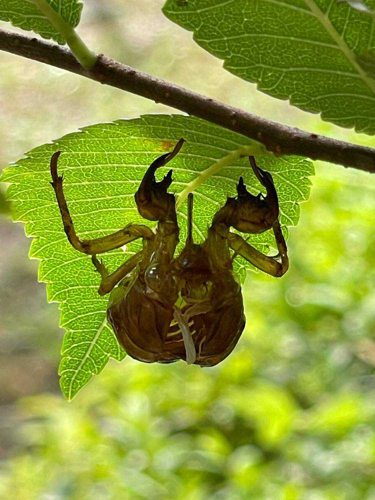 1660863106130_thum_698111_phot