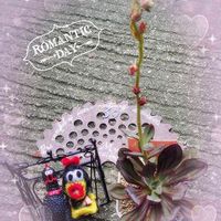 紅司,戦争反対,つながりに感謝,るるさんの手作り雑貨,「戦争のない、平和な世界に」の画像