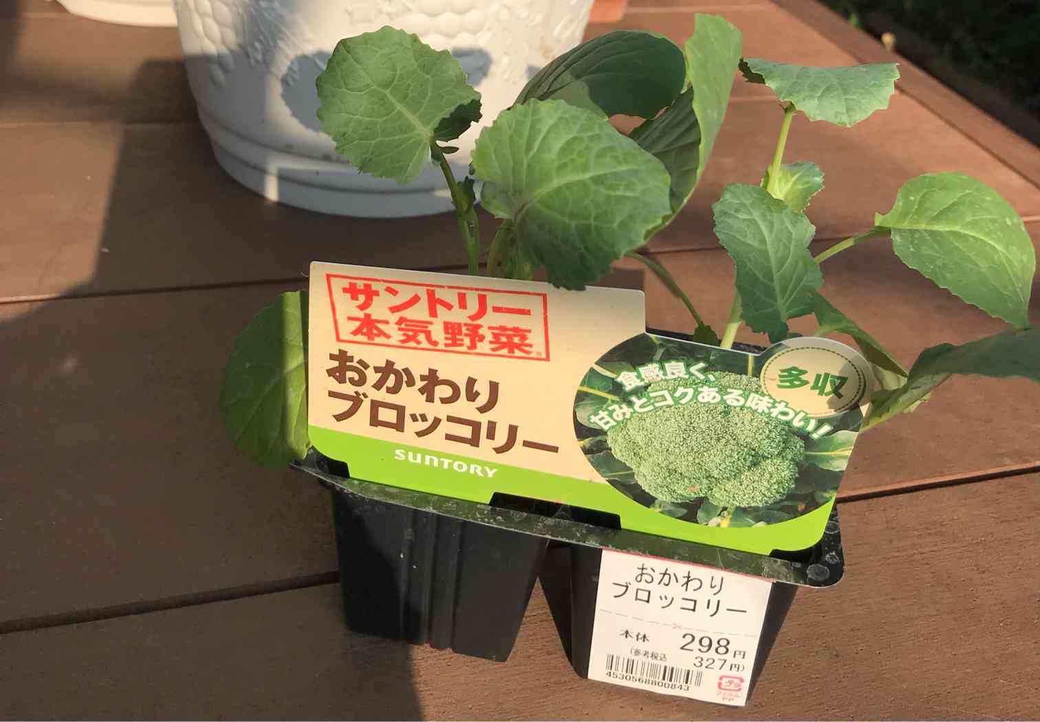 お野菜〜プロフをご覧下さい〜 Photos by 星 智子 (@tomop718) · July 23, 2025