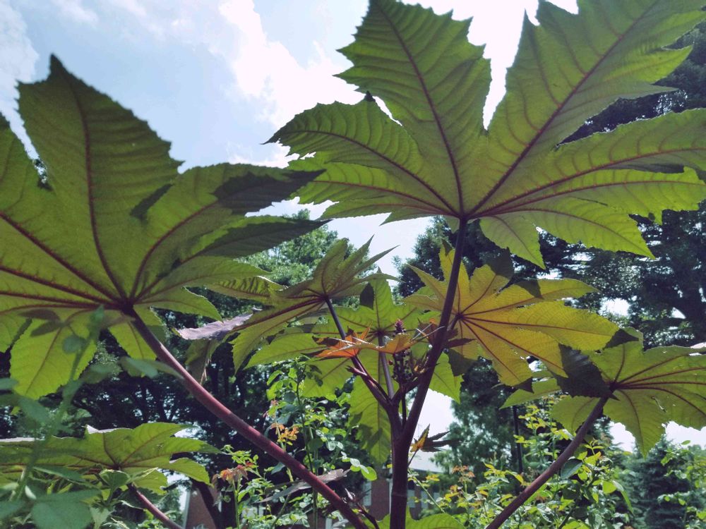 エリィさんの港の見える丘公園への投稿