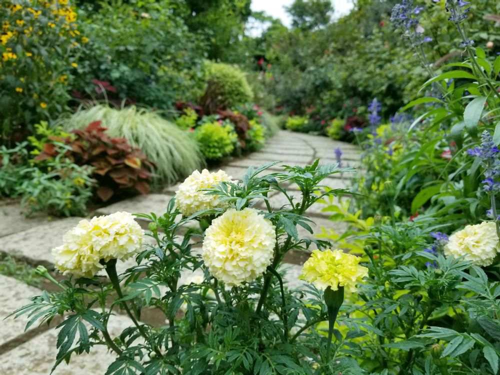 エリィさんの港の見える丘公園への投稿