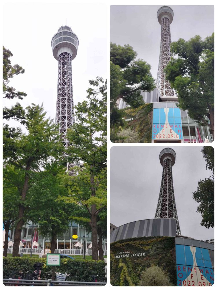 ゴマさんの山下公園への投稿