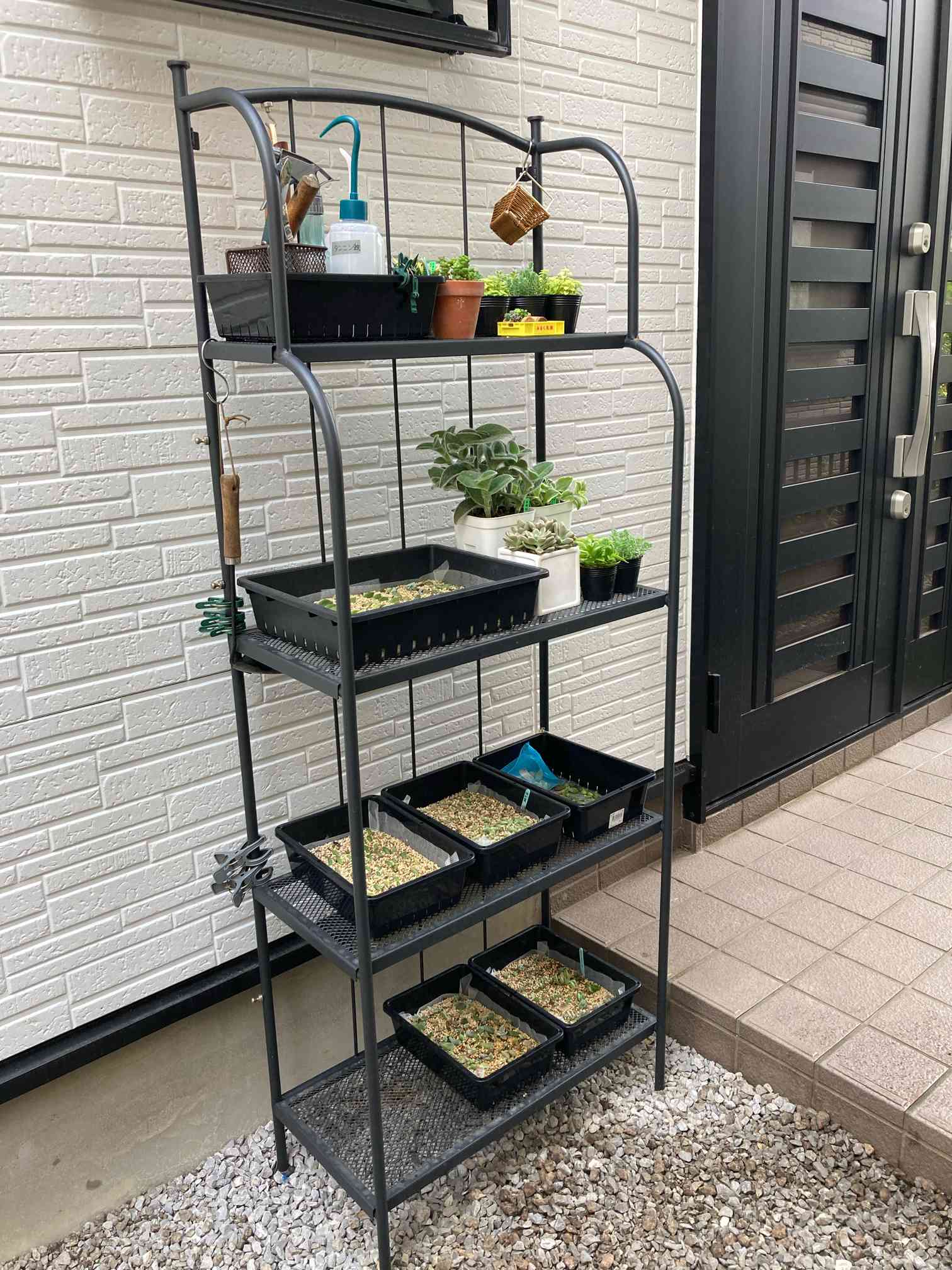 玄関の投稿画像 by 多肉植物 ちまちま屋さん｜多肉植物とIKEAと多肉棚