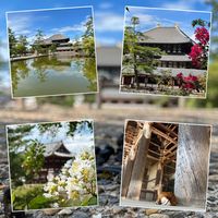 サルスベリ,百日紅（さるすべり）,曼珠沙華（まんじゅしゃげ）,夏・大和路,tweeted by ヒロシの画像