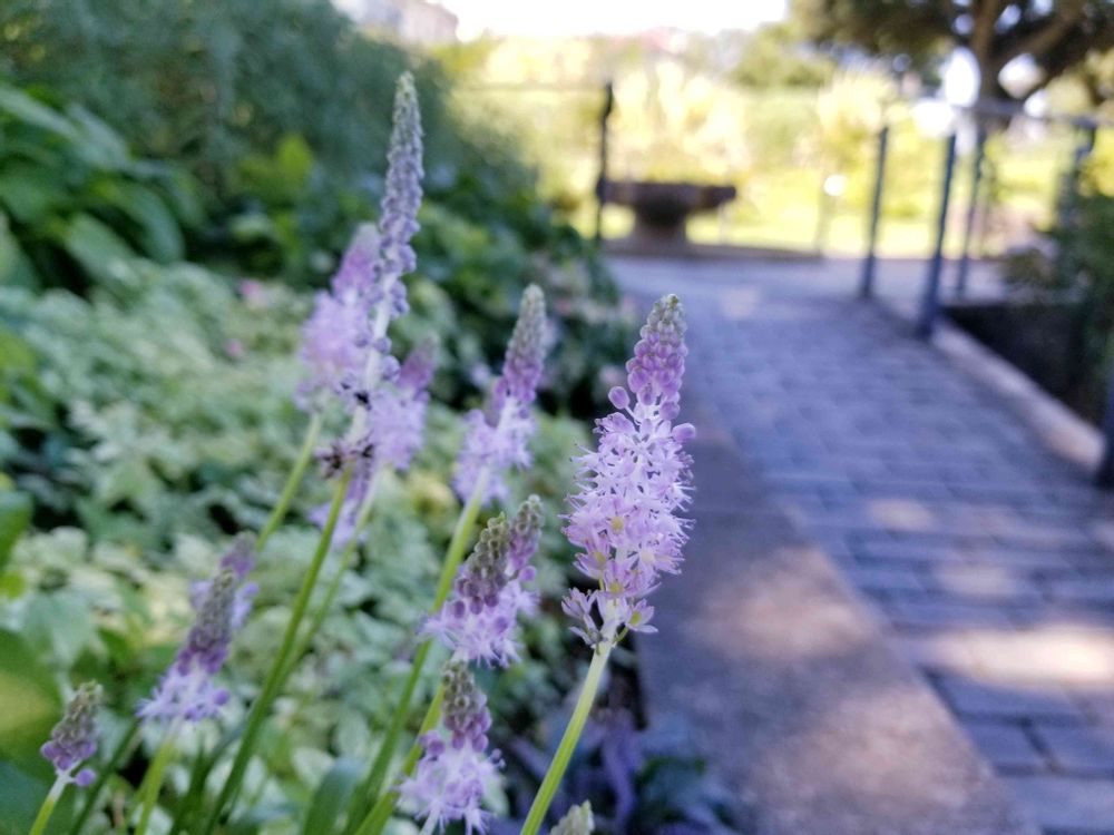 エリィさんの港の見える丘公園への投稿