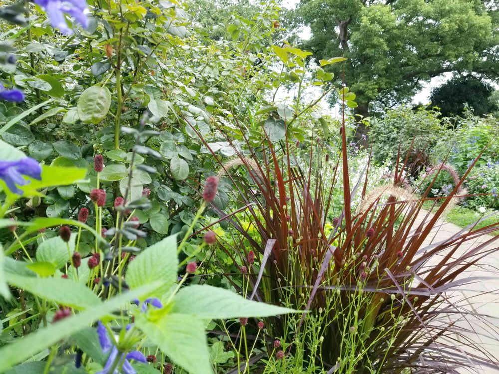 エリィさんの港の見える丘公園への投稿