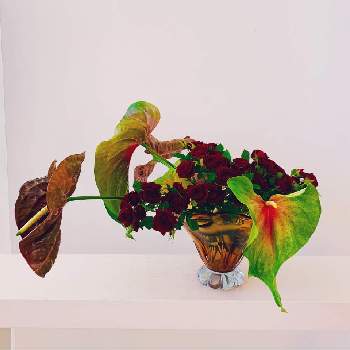 ハワイアン スタイルの画像 by ohanamakihawaiiさん | インテリアとハワイアン スタイルとハワイの植物とアンスリューム*とフラワーアレンジメントとハワイと花のある暮らしと花が好きとフラワーデザインとエキゾチックフラワー