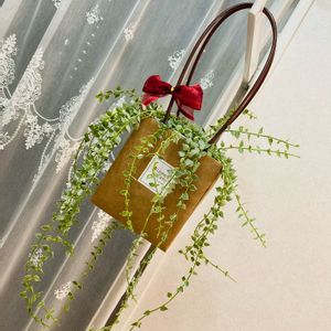 ミリオンハート,観葉植物,つる性植物,可愛い,癒しの画像