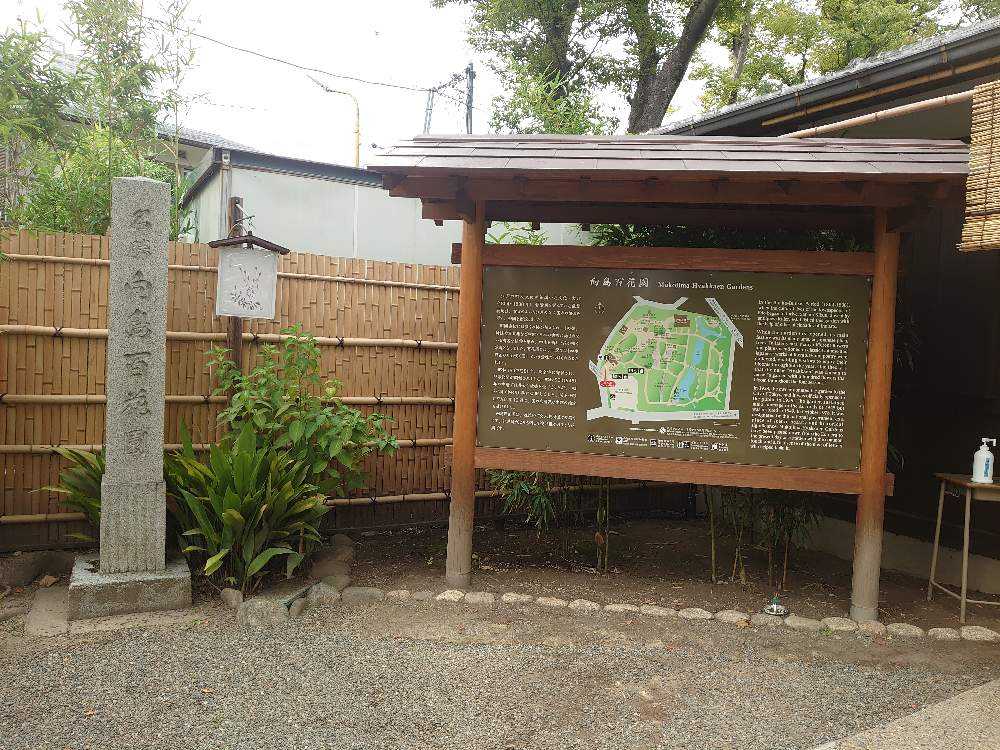 向島百花園 萩の花 秋の花 Greensnap グリーンスナップ