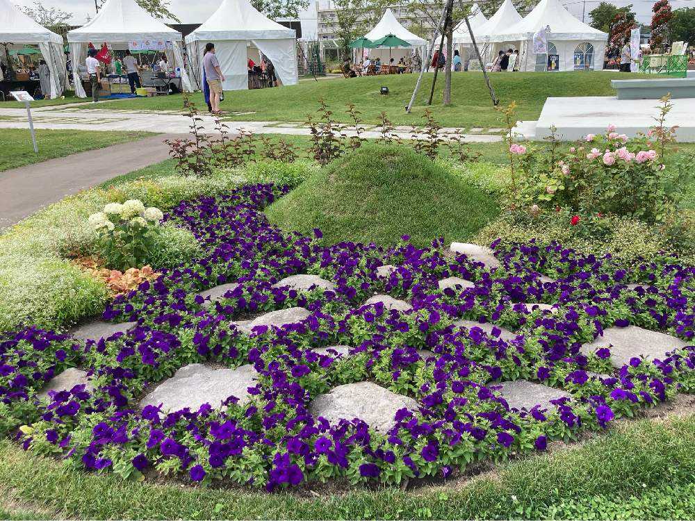 ガーデンフェスタ北海道2022 自治体出展花壇｜🍀GreenSnap