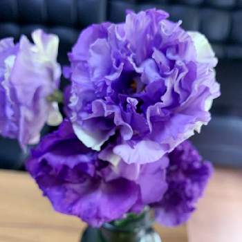 お花と暮らすの画像 by ろこたろさん | 部屋とお花と暮らすと紫色のお花が好きとトルコギキョウが好き