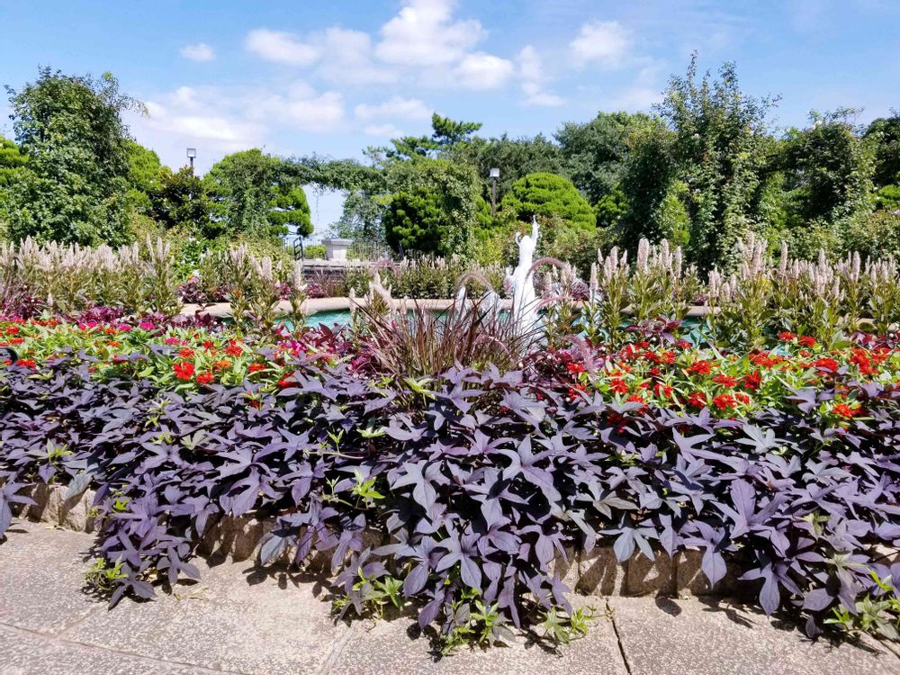 エリィさんの港の見える丘公園への投稿