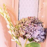ススキ,紫陽花,チューベローズ,かっこいい,ステキの画像