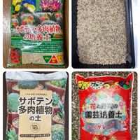 多肉植物,多肉の土,ケーヨーD2,刀川平和農園,はなずきんツール関係の画像