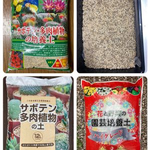 多肉植物,多肉の土,ケーヨーD2,はなずきんツール関係,刀川平和農園の画像
