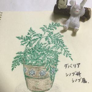 観葉植物,ミニ観葉,お絵描き,GS映え,GS日和の画像