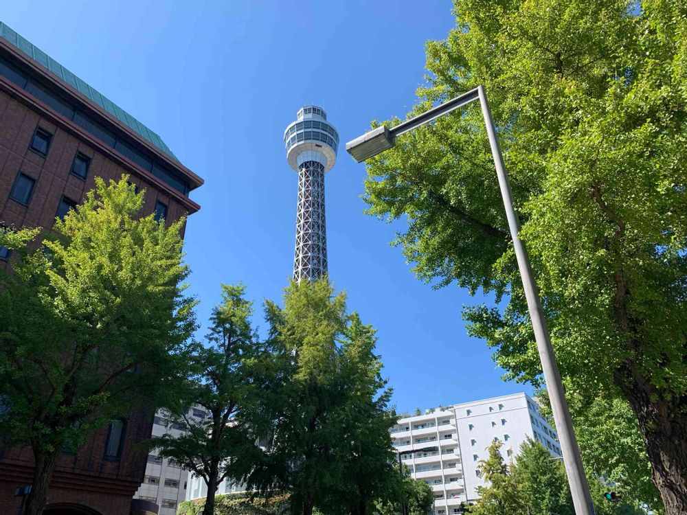 めいたんとママさんの山下公園への投稿