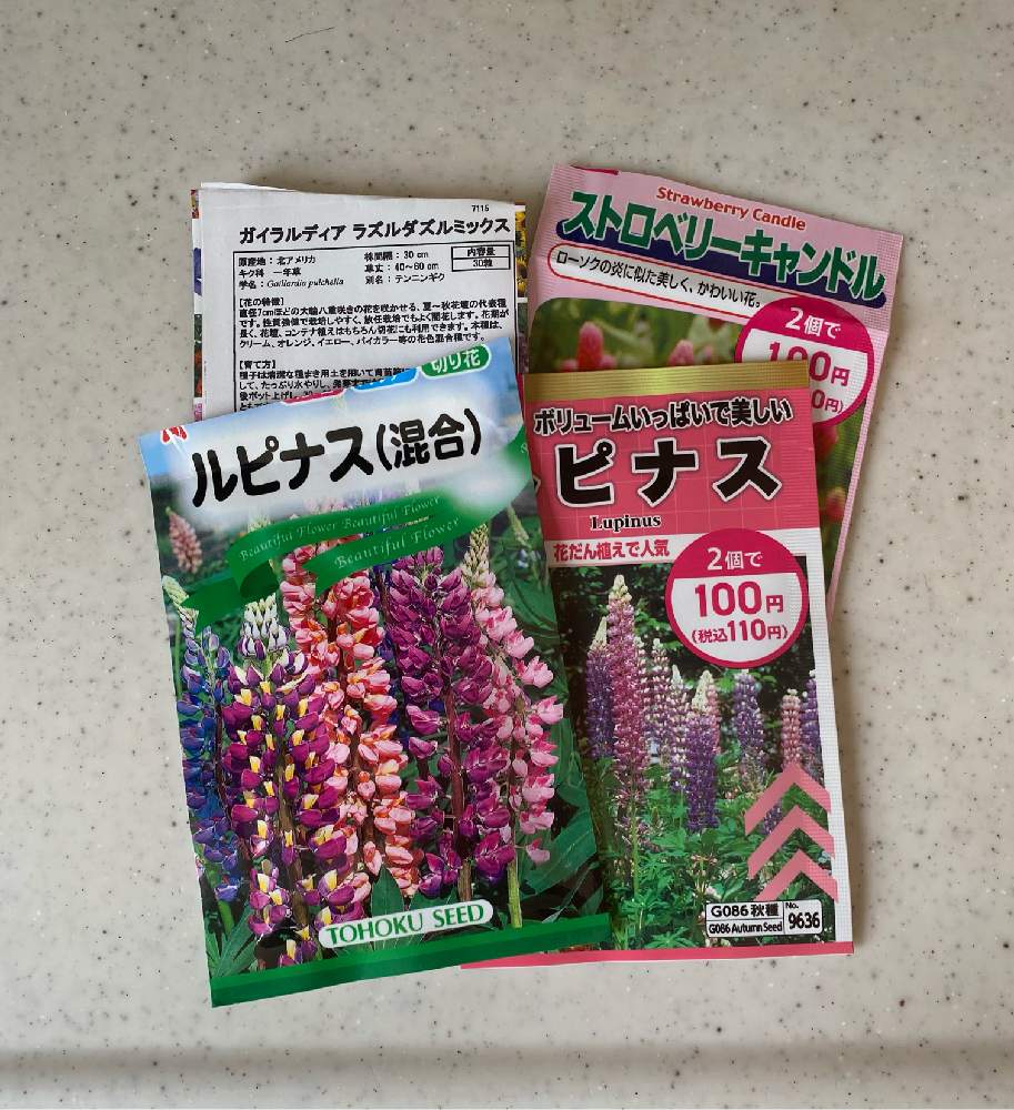 22種から育てるルピナス Greensnap グリーンスナップ