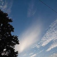 ナツメ,ゆりの木,全てに祈りを♪,シルエットのMagic,つよしさんの雲仲間の画像