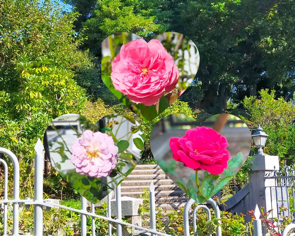 とりさんの山手イタリア山庭園への投稿