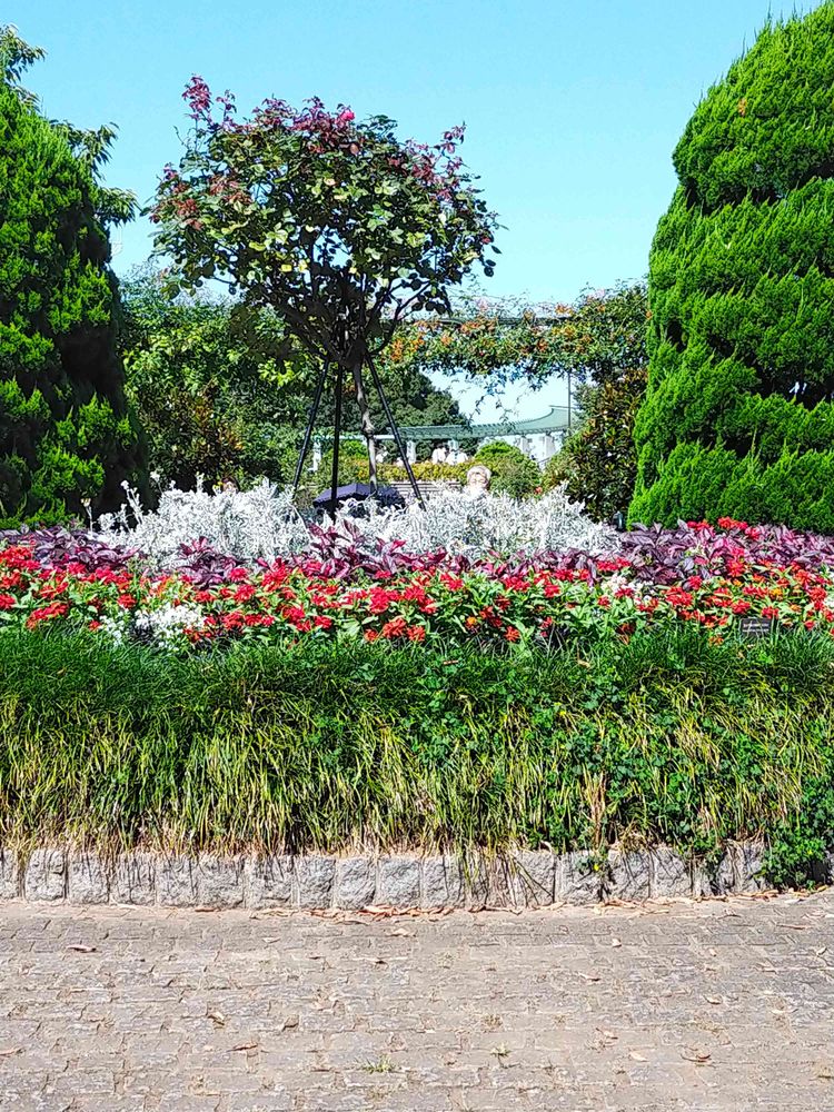 とりさんの港の見える丘公園への投稿