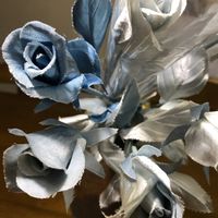 アイ,藍染めの花の画像