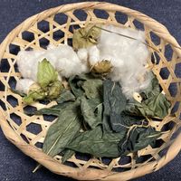 蓼藍(タデアイ),ワタ,裏庭,手づくりの庭,ガーデニングの画像
