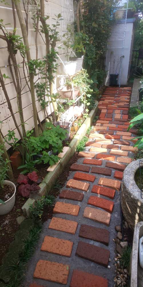 狭小庭のレンガ敷 Greensnap グリーンスナップ