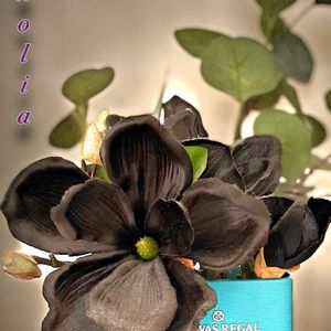 造花,マグノリアの花,黒い花,チーム千葉✿︎,増加中の画像