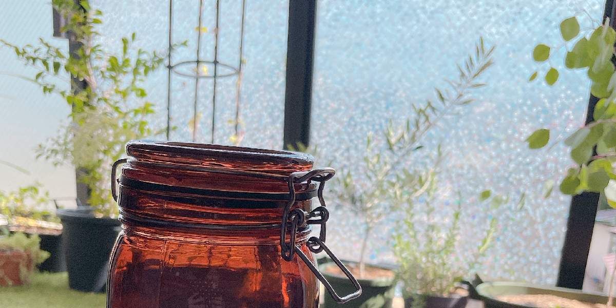 masu.meのアルバム｜🍀GreenSnap（グリーンスナップ）