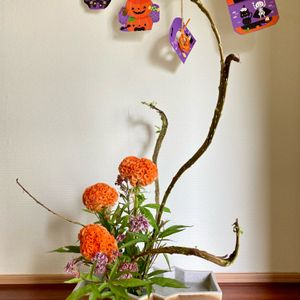 ケイトウ,フジバカマ,石化柳,ハロウィンの飾り,いけばなの画像