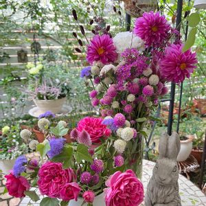 ガーデニング,咲いた！,マイガーデン,癒し,手作りの庭の画像