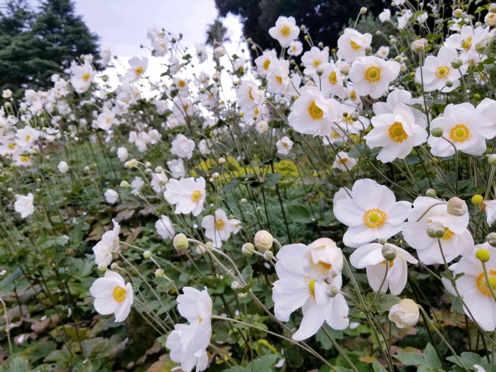 エリィさんの港の見える丘公園への投稿