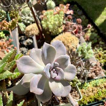 Qmawzvx7zqct0m Qmawzvx7zqct0m